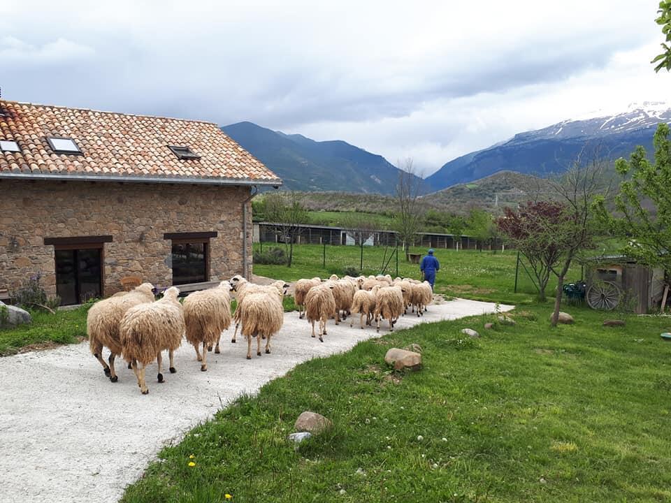 Albergue A'Noguera Castiello de Jaca Exterior foto